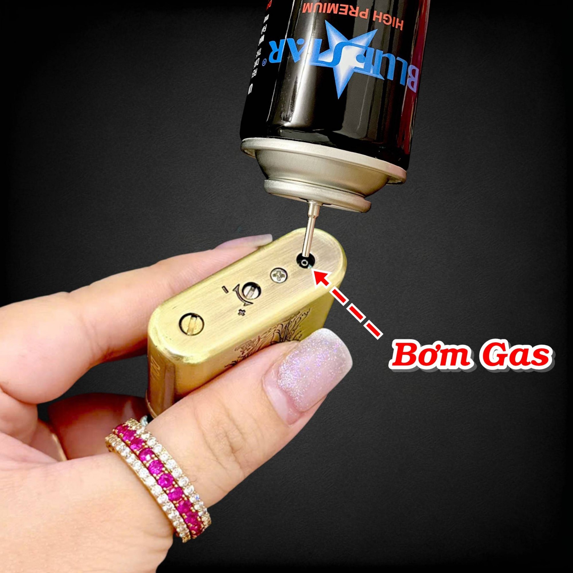 dolphin_coi_quan_cong_5